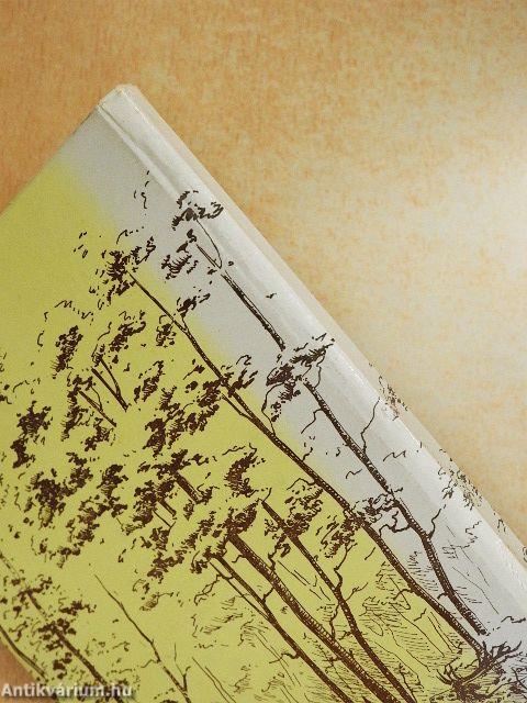 Magasles a Kékes alatt