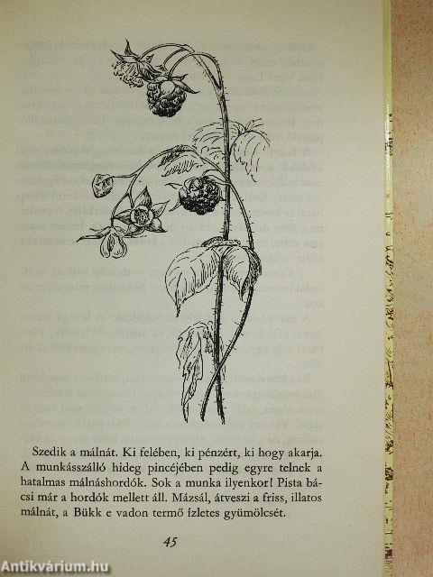 Magasles a Kékes alatt