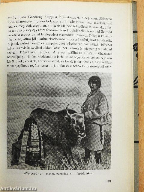 Népek, rasszok, kultúrák