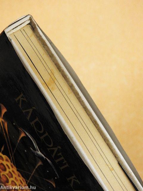 A szentek bevonulása a városba