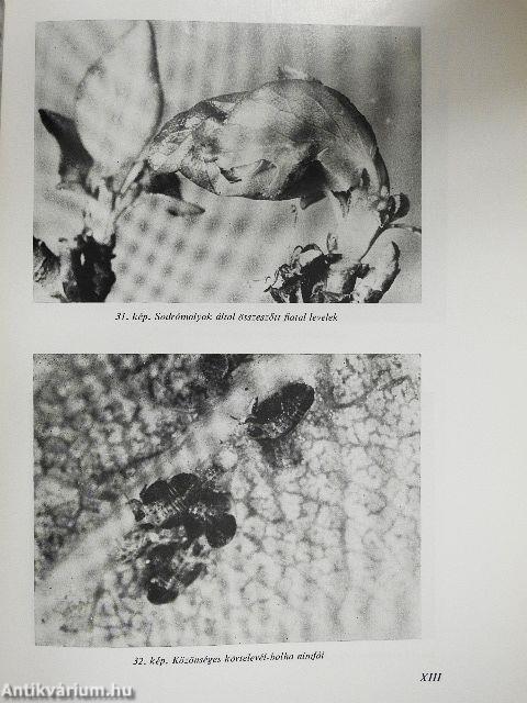 Kertészek új kézikönyve