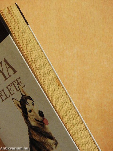 A kutya lelki élete