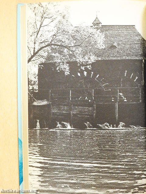 Száz szatmári parasztétel