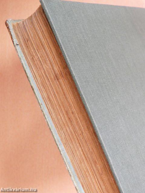 Egy magyar diák élete Mátyás király korában