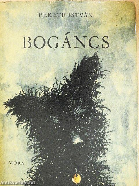 Bogáncs