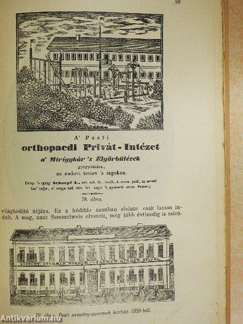 Az anyaság története