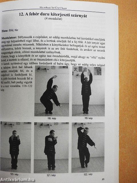Wu stílusú Tai Chi Chuan