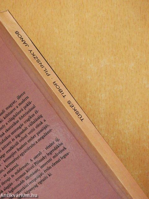 Pilinszky János alkotásai és vallomásai tükrében