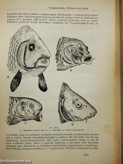 Tógazdasági haltenyésztés II.