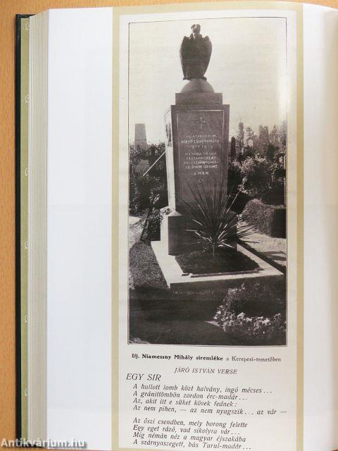 Ifj. Niamessny Mihály és a temesvári Levente-per (1919-1920)