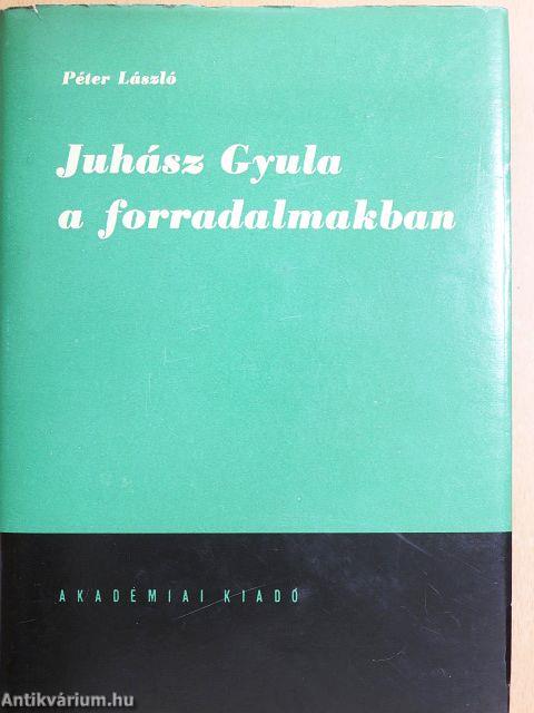 Juhász Gyula a forradalmakban