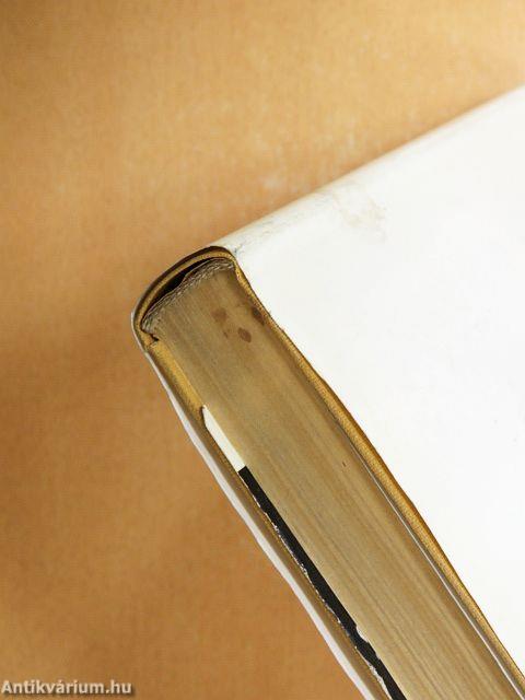 A filozófus oroszlán