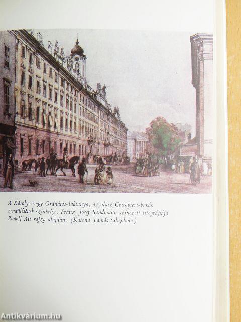 1848 júniusától novemberéig