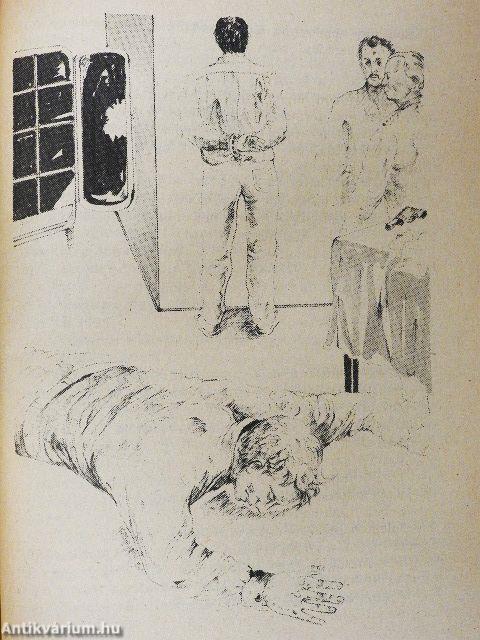 Hód és a megsemmisült nyom