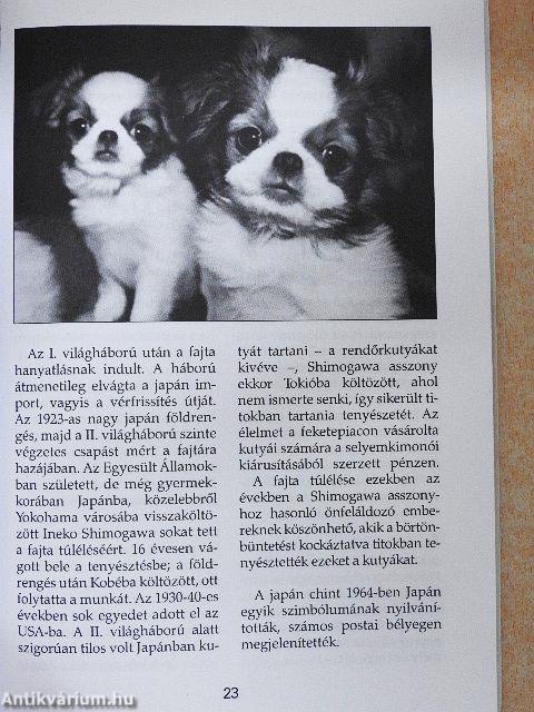 A shih-tzu, a pekingi palotakutya