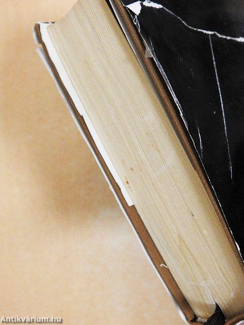 Teréz, a kedves halhatatlan