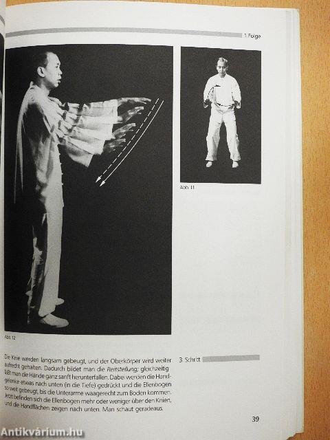 Chinesisches Schattenboxen Tai-Ji-Quan für geistige und körperliche Harmonie