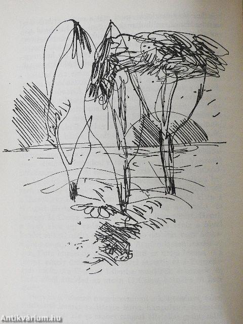 Kék öböl/Szerelem csütörtök/Égi Mező