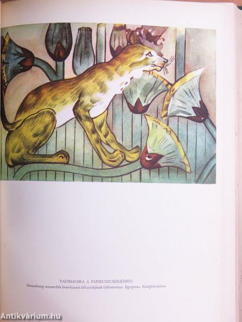 Világtörténet 1-10.