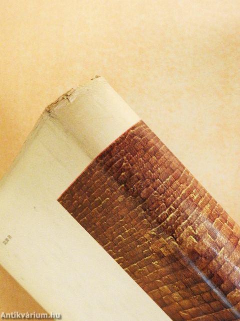 A világ hét csodája