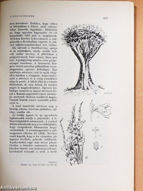 A kultúra világa I-V.