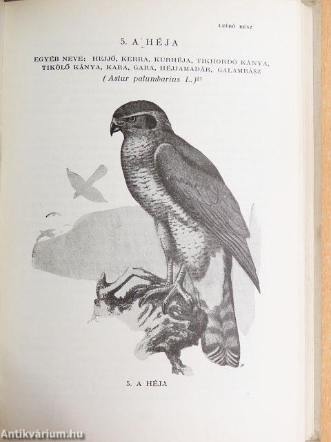 A madarak hasznáról és káráról