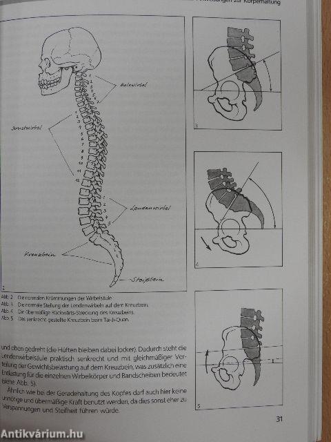 Chinesisches Schattenboxen Tai-Ji-Quan für geistige und körperliche Harmonie