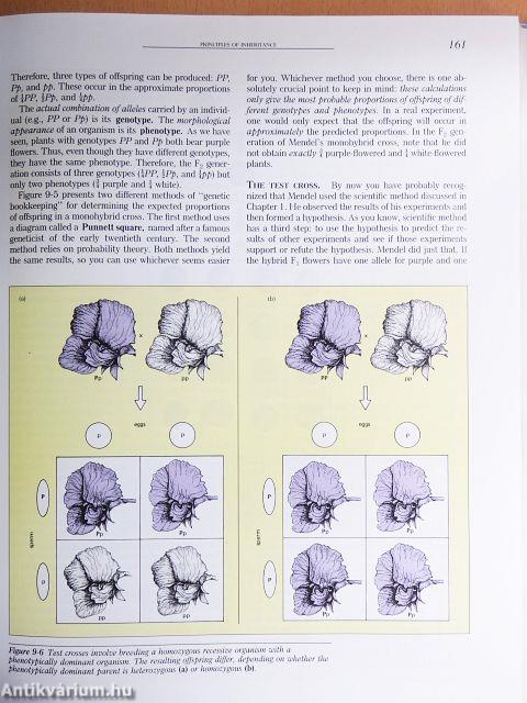 Biology - Life On Earth