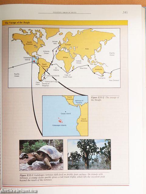 Biology - Life On Earth