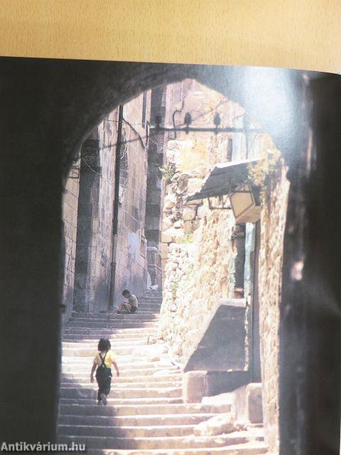 I Come From Palestine