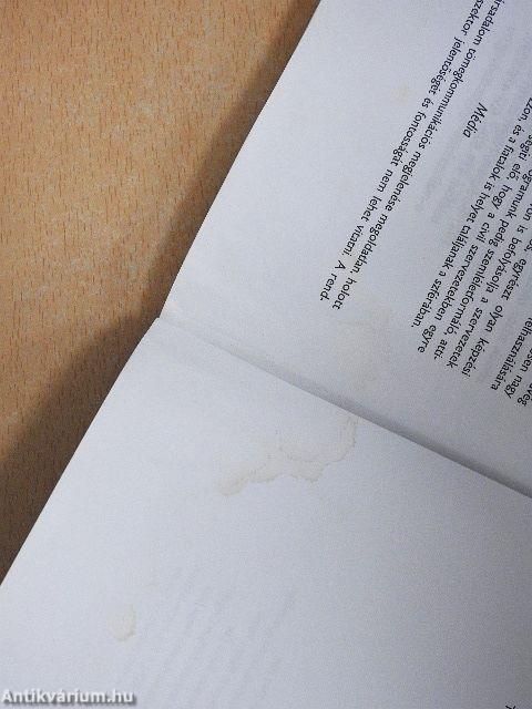 Politika az interneten