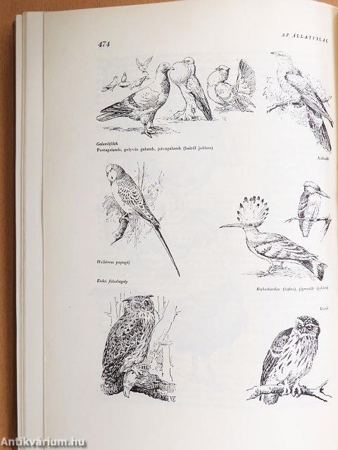 A kultúra világa I-V.