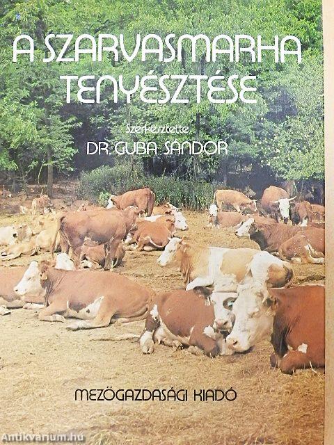 A szarvasmarha tenyésztése