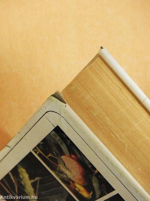 Gyümölcsfák védelme