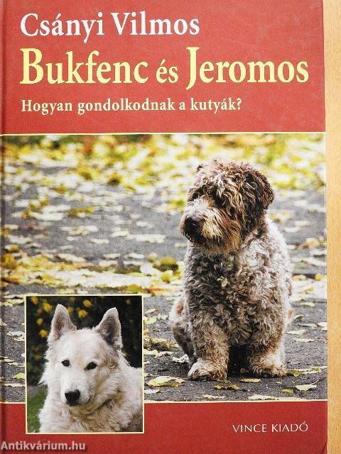 Bukfenc és Jeromos