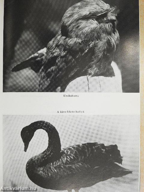 Ausztrália, Új-Zéland, Óceánia