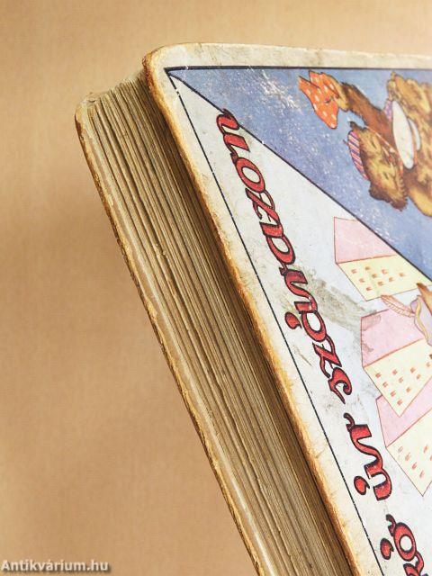 Mackó úr szárazon és vizen