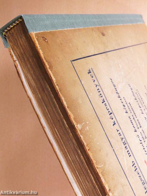 Mackó úr szárazon és vizen