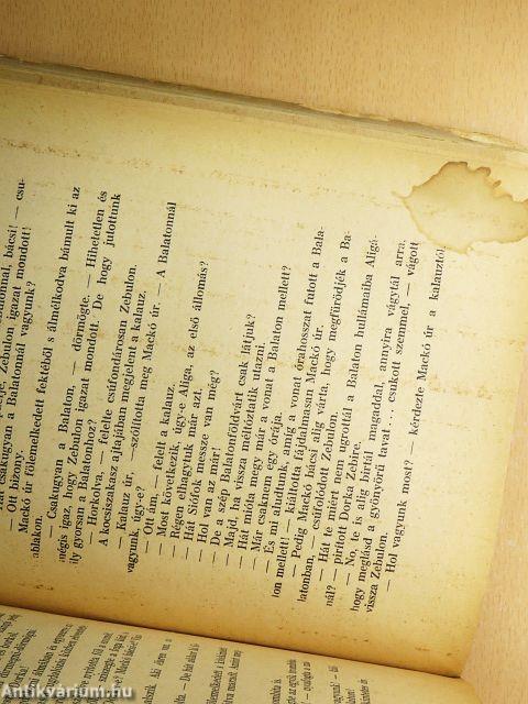 Mackó úr szárazon és vizen