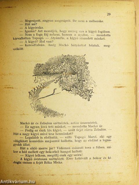 Mackó úr szárazon és vizen