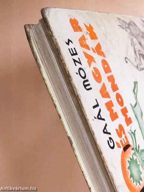 Hún és magyar mondák