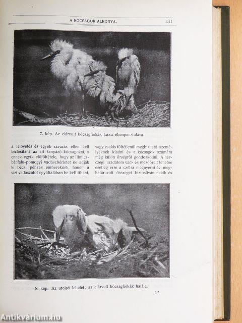 Az iparművészet könyve II.