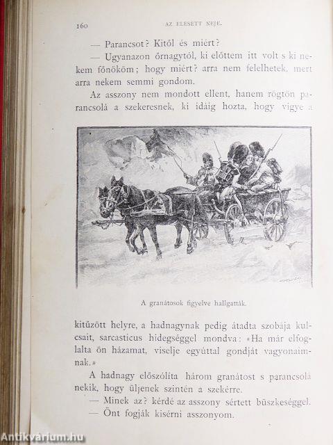 Csataképek a magyar szabadságharczból