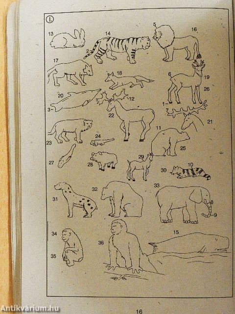 Angol-magyar képes szótár