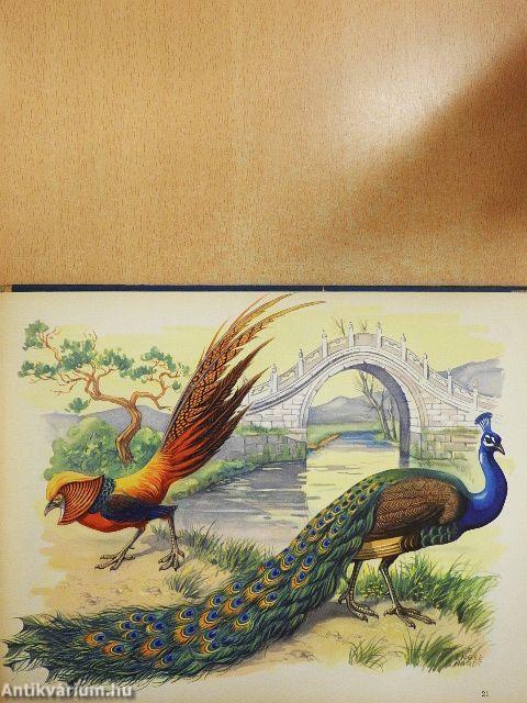 A természet csodái