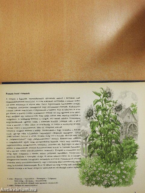 A természet csodái