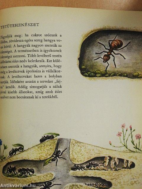 Parányi bölcsőlakók