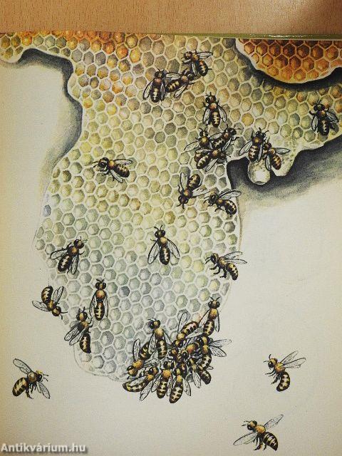 Parányi bölcsőlakók