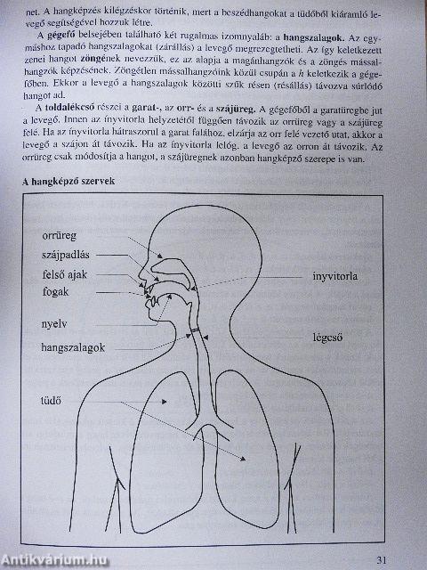 Érettségi témakörök, tételek - Magyar nyelv