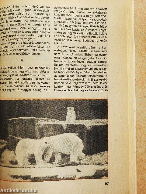 Kincses Kalendárium 1991